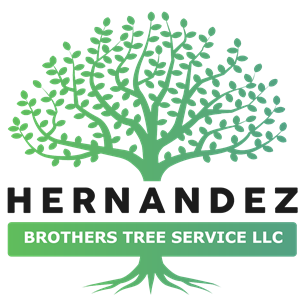 hernandezbrotherstreeservicellc.com