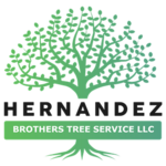 hernandezbrotherstreeservicellc.com