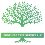 hernandezbrotherstreeservicellc.com